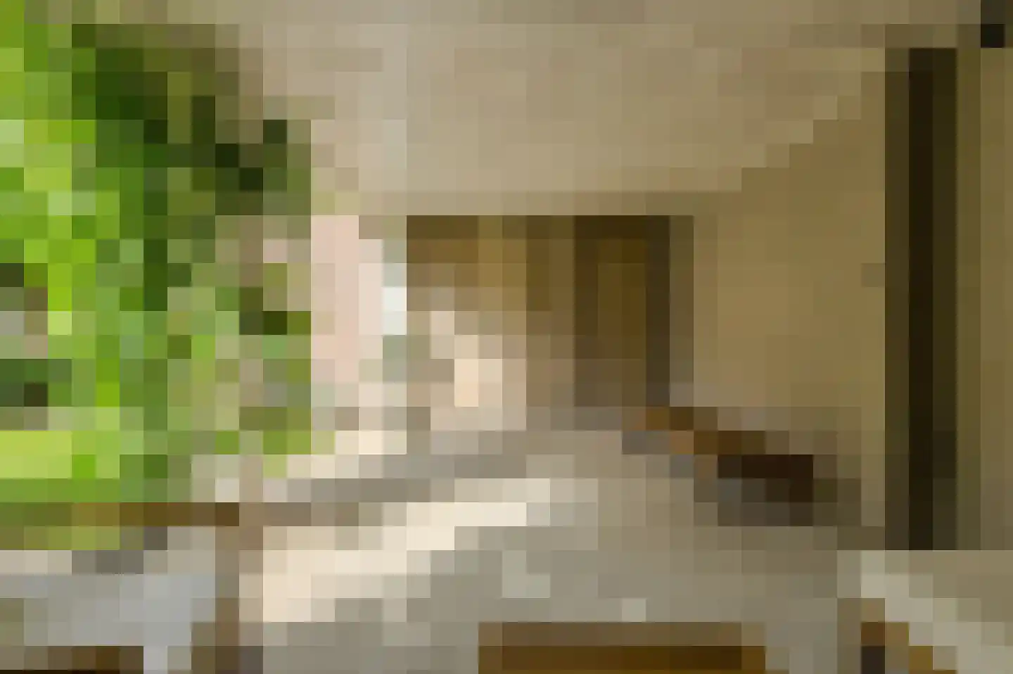 Mariastraat 7 Bavel thumbnail 38