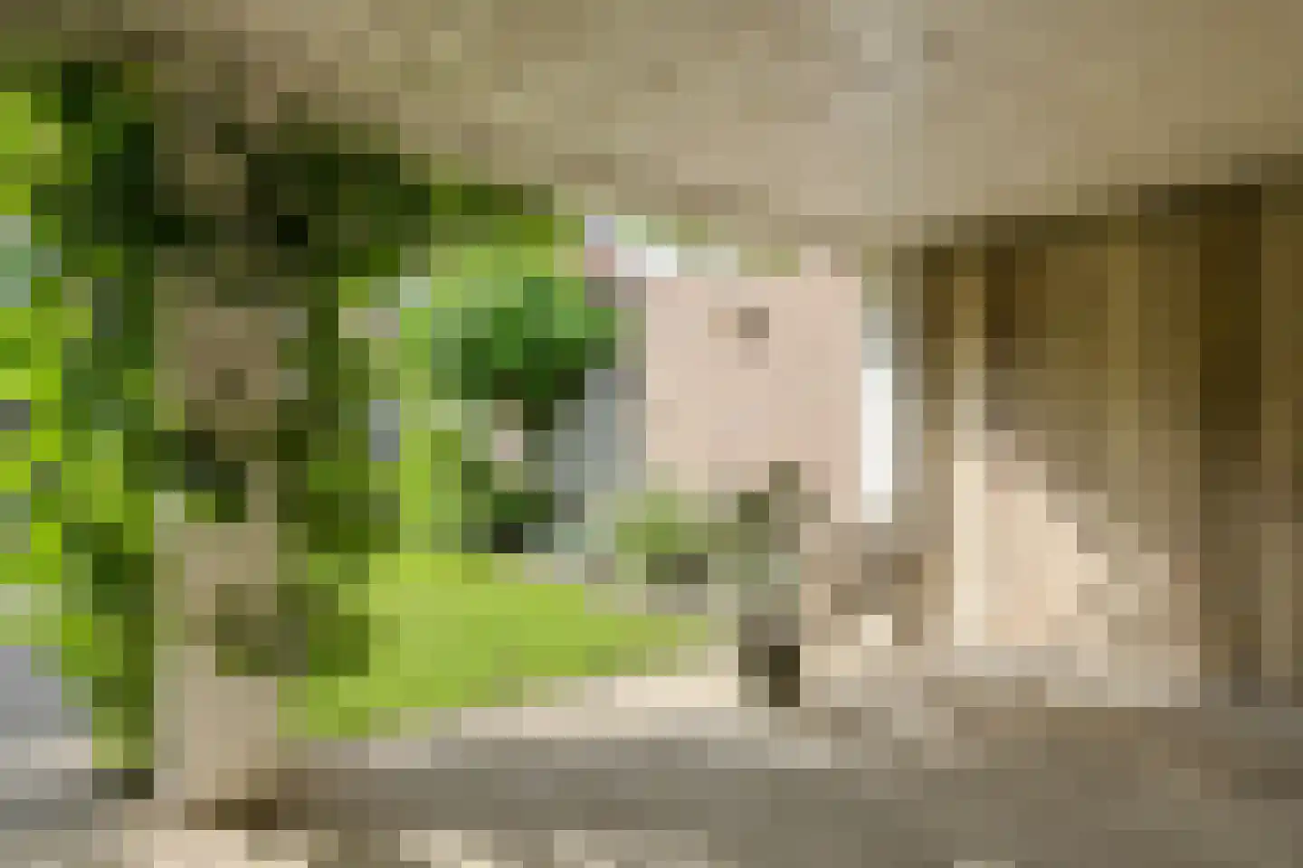 Mariastraat 7 Bavel thumbnail 39