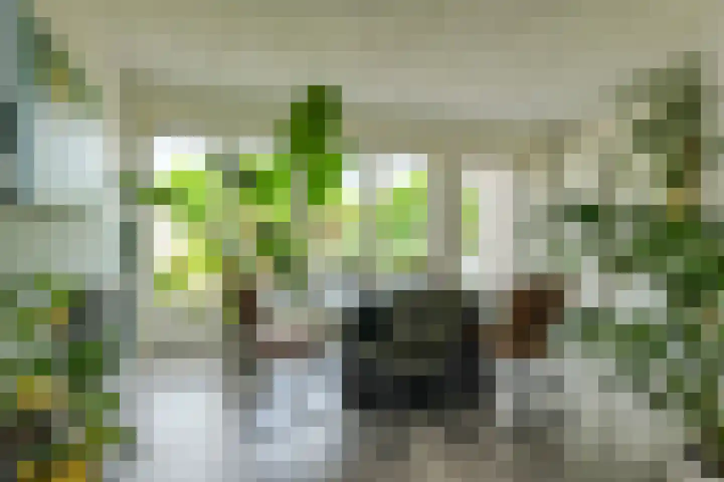 Mariastraat 7 Bavel thumbnail 4