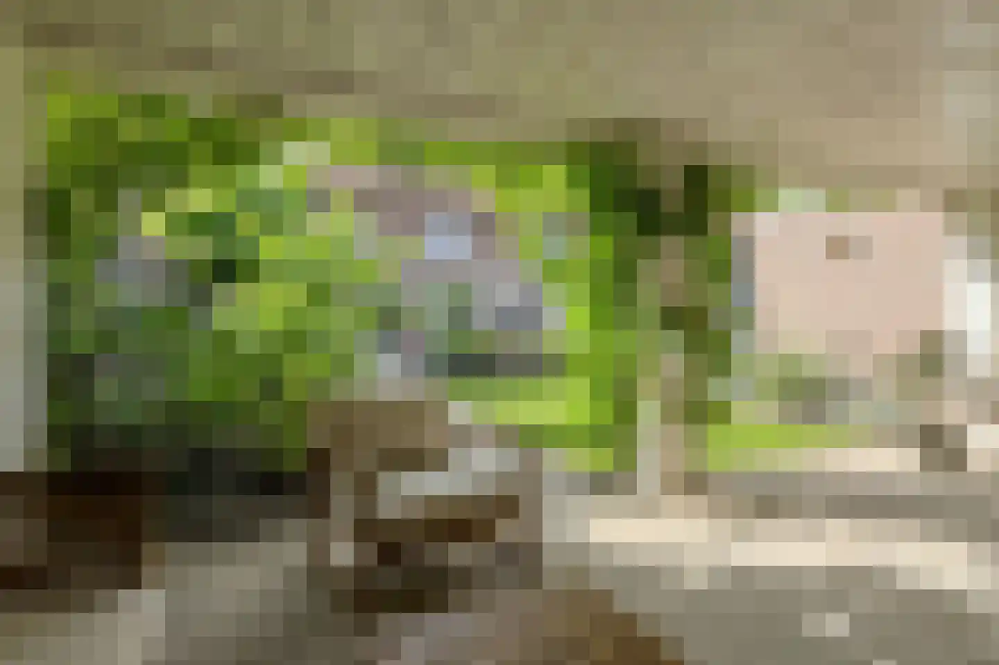 Mariastraat 7 Bavel thumbnail 40