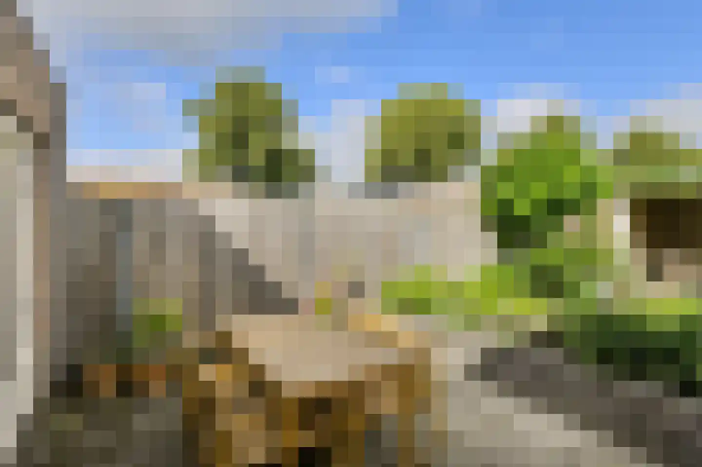 Mariastraat 7 Bavel thumbnail 43
