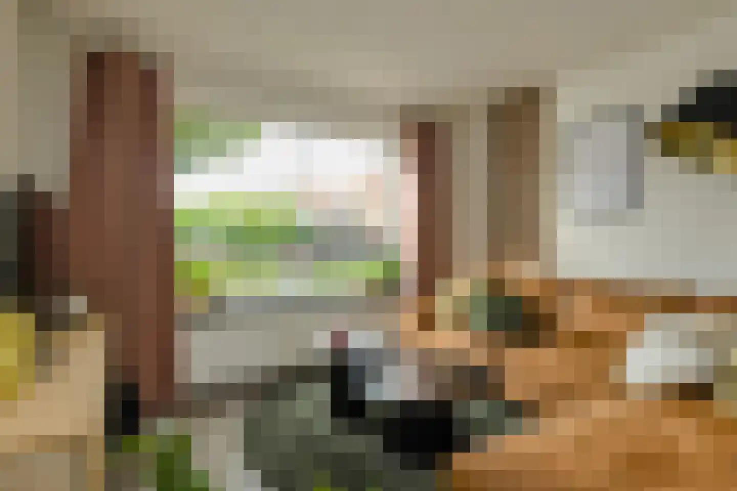 Mariastraat 7 Bavel thumbnail 8