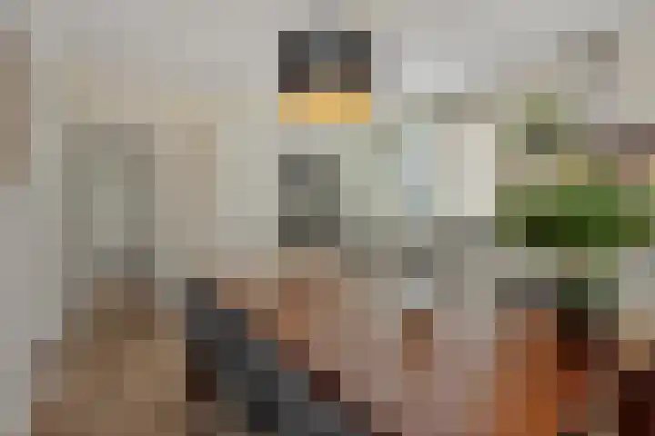Mariastraat 7 Rosmalen thumbnail 10