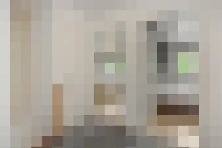 Mariastraat 7 Rosmalen thumbnail 14