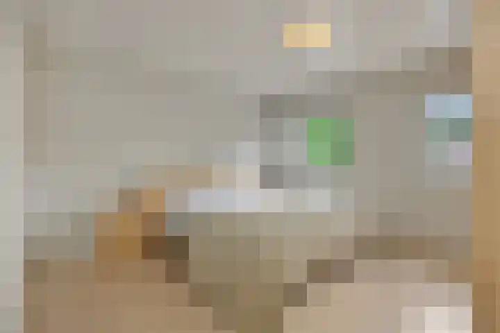 Mariastraat 7 Rosmalen thumbnail 15