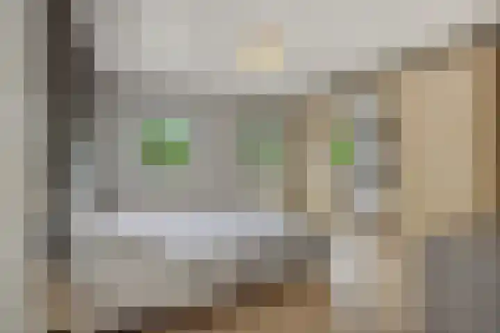 Mariastraat 7 Rosmalen thumbnail 17