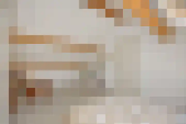 Mariastraat 7 Rosmalen thumbnail 25