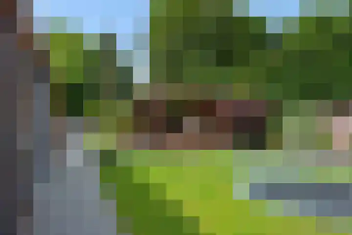 Mariastraat 7 Rosmalen thumbnail 29