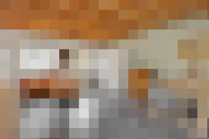 Mariastraat 7 Rosmalen thumbnail 32