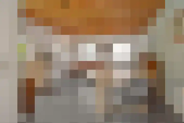 Mariastraat 7 Rosmalen thumbnail 34