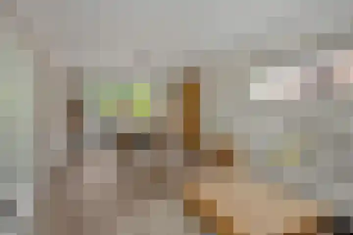 Mariastraat 7 Rosmalen thumbnail 4