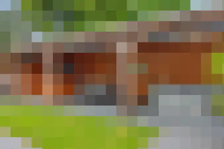 Mariastraat 7 Rosmalen thumbnail 40