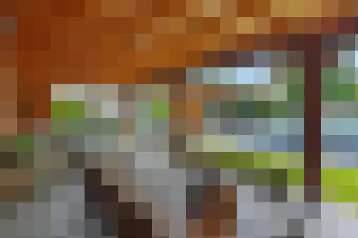 Mariastraat 7 Rosmalen thumbnail 43