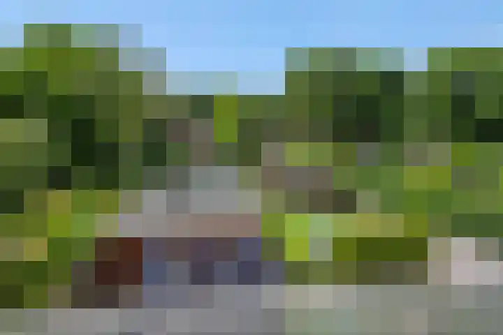 Mariastraat 7 Rosmalen thumbnail 44