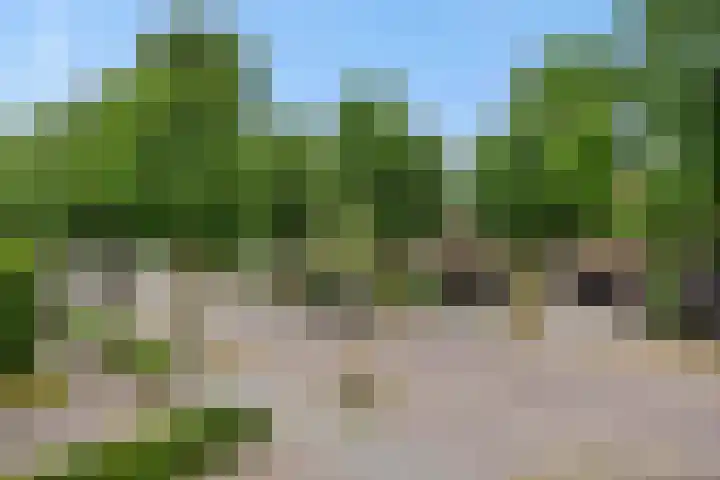 Mariastraat 7 Rosmalen thumbnail 48