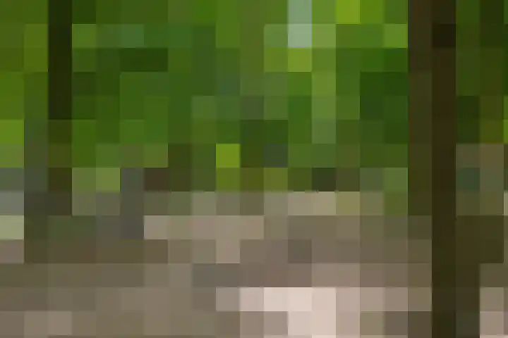 Mariastraat 7 Rosmalen thumbnail 49