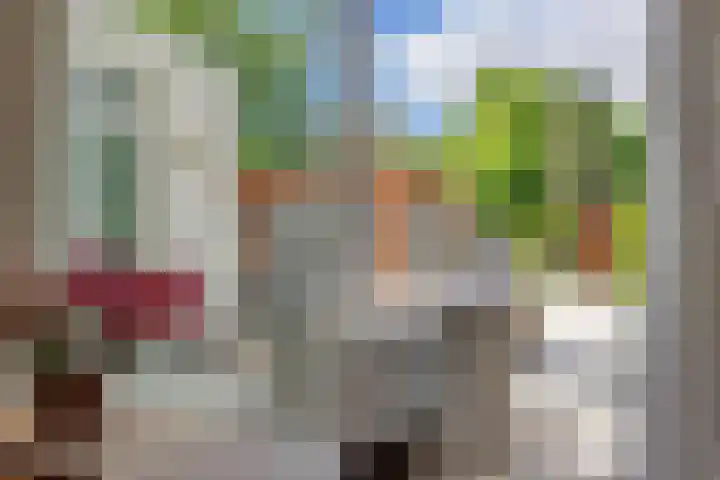 Mariastraat 7 Rosmalen thumbnail 5