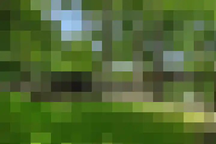 Mariastraat 7 Rosmalen thumbnail 50