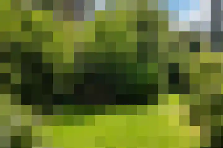 Mariastraat 70 Den Haag thumbnail 47