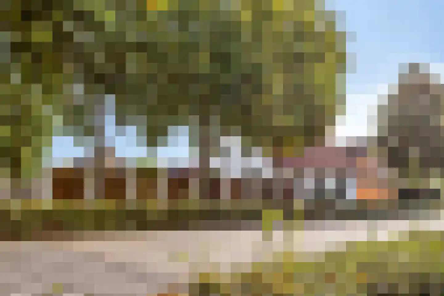 Mariastraat 72 Mariahout thumbnail 12