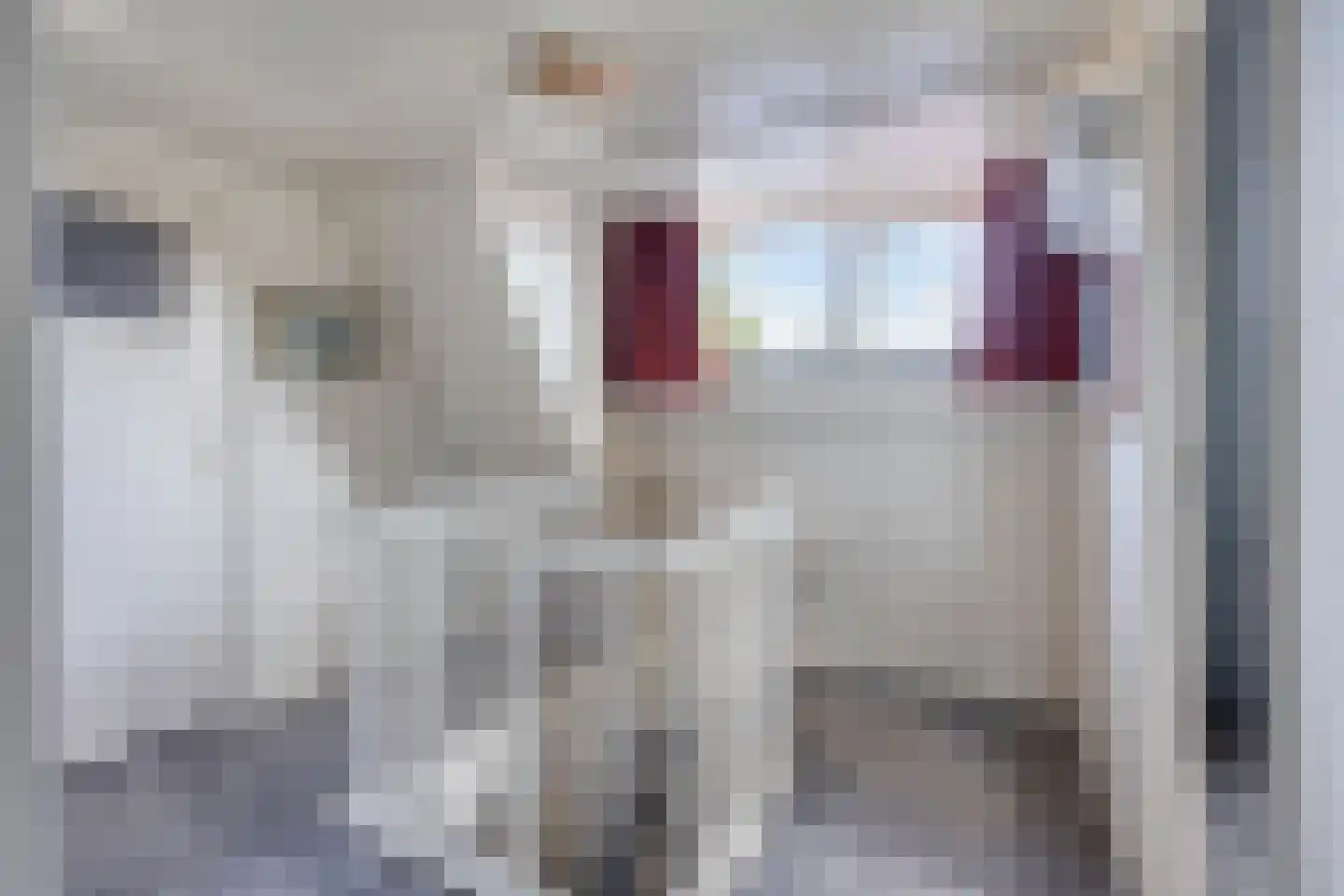 Mariastraat 72 Mariahout thumbnail 32