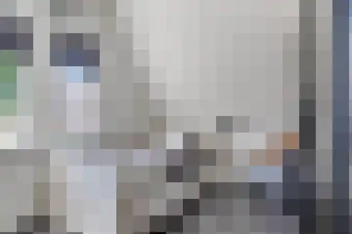 Mariastraat 74 Apeldoorn thumbnail 18