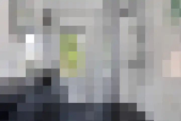 Mariastraat 74 Apeldoorn thumbnail 19