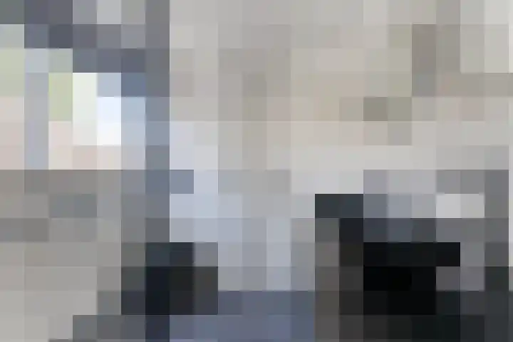 Mariastraat 74 Apeldoorn thumbnail 20