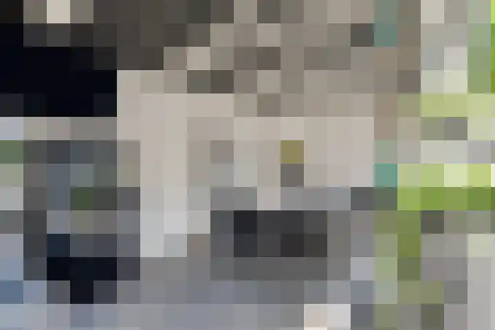 Mariastraat 74 Apeldoorn thumbnail 23