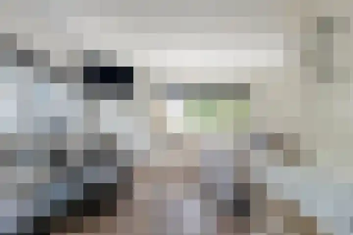 Mariastraat 74 Apeldoorn thumbnail 26