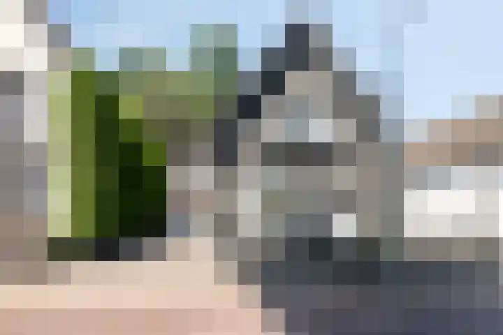 Mariastraat 74 Apeldoorn thumbnail 32