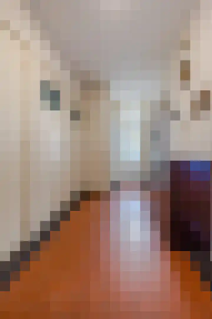 Mariastraat 74 Den Haag thumbnail 12