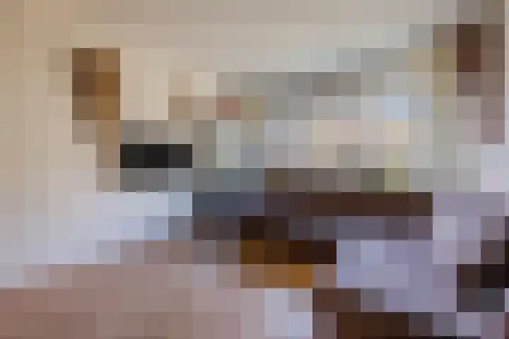 Mariastraat 74 Den Haag thumbnail 15