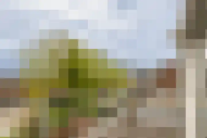 Mariastraat 8 Hillegom thumbnail 37