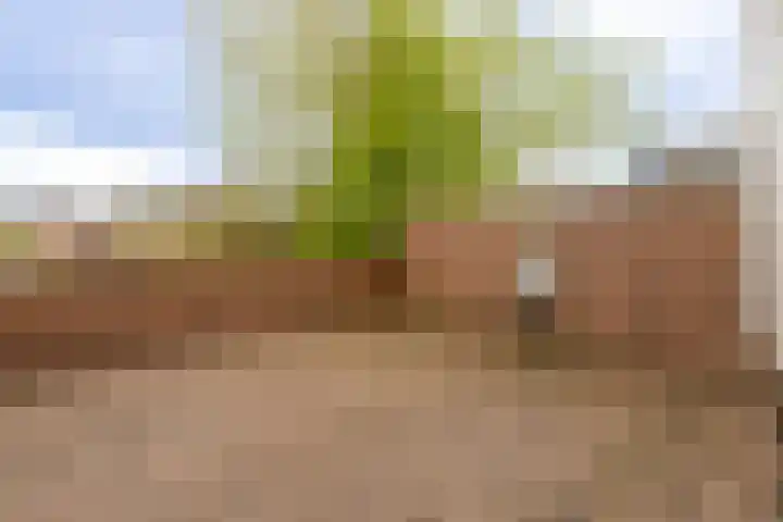 Mariastraat 8 Hillegom thumbnail 5