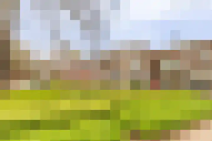 Mariastraat 8 Hillegom thumbnail 6