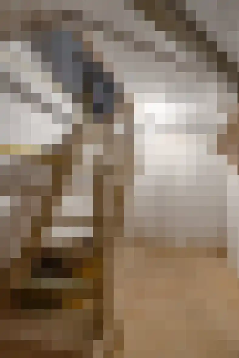 Mariastraat 9 Beek thumbnail 21