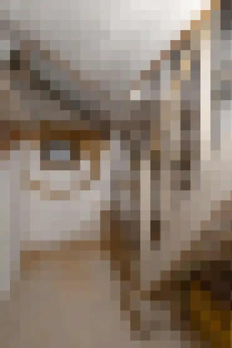 Mariastraat 9 Beek thumbnail 22