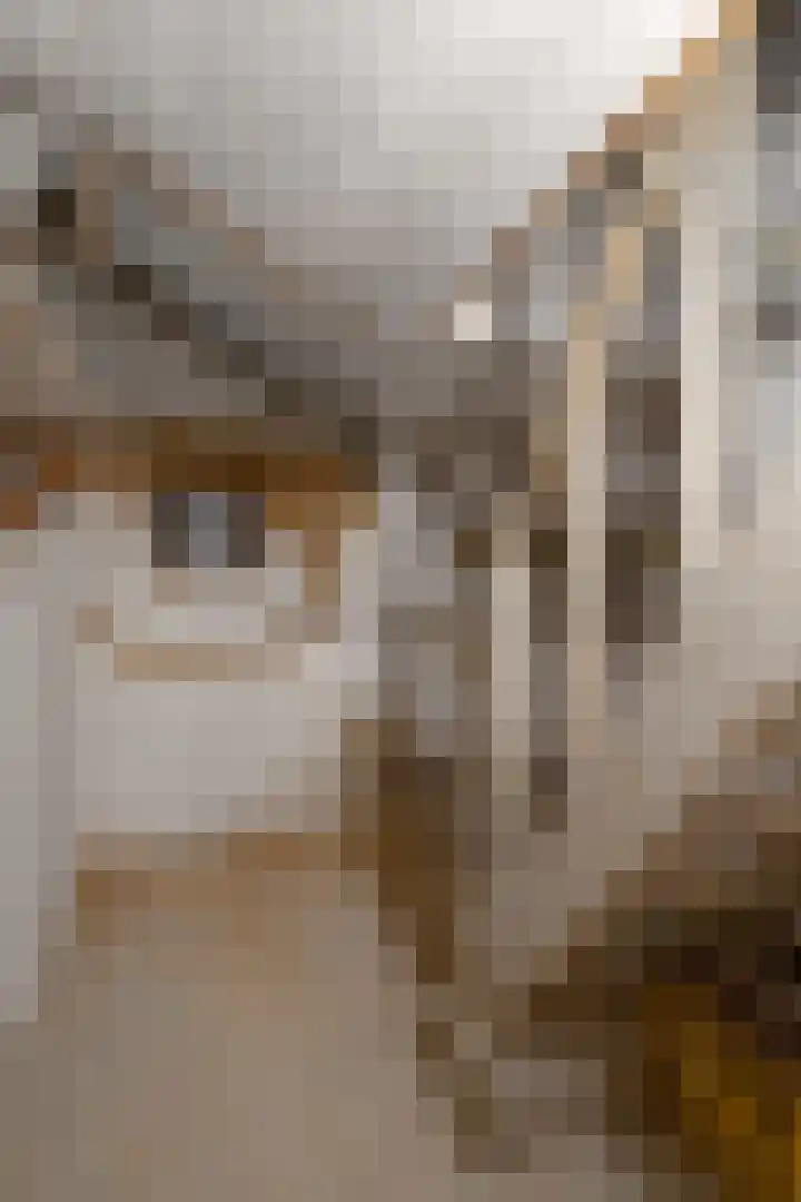 Mariastraat 9 Beek thumbnail 22