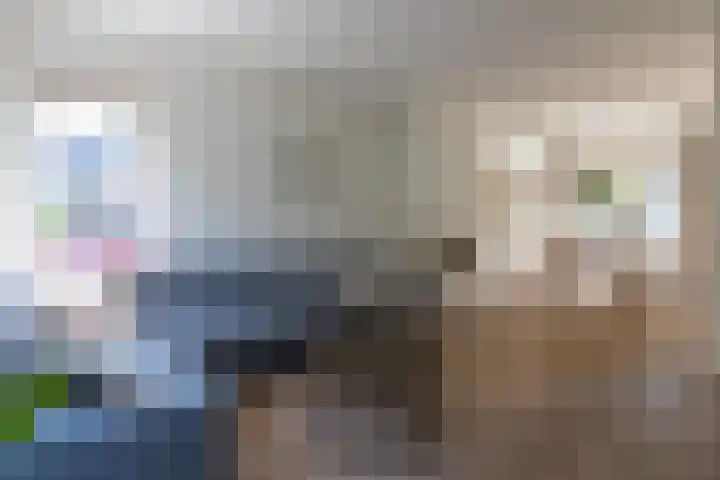 Mariastraat 9 Bussum thumbnail 4