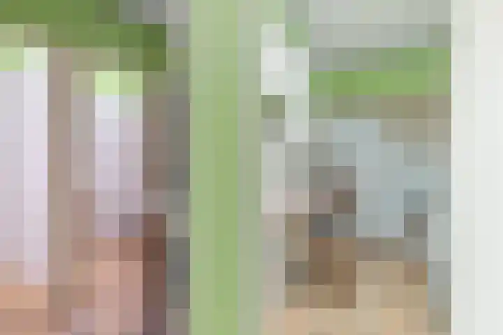 Mariastraat 9 Maastricht thumbnail 25