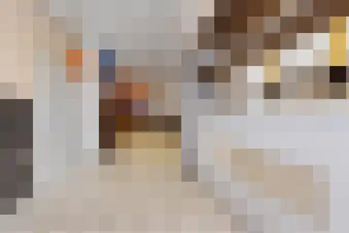 Mariastraat 9 Maastricht thumbnail 4