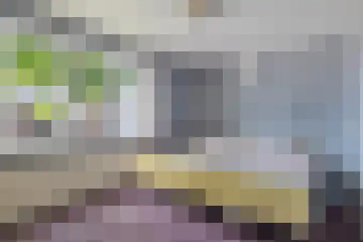 Mariastraat 9 Oldenzaal thumbnail 11