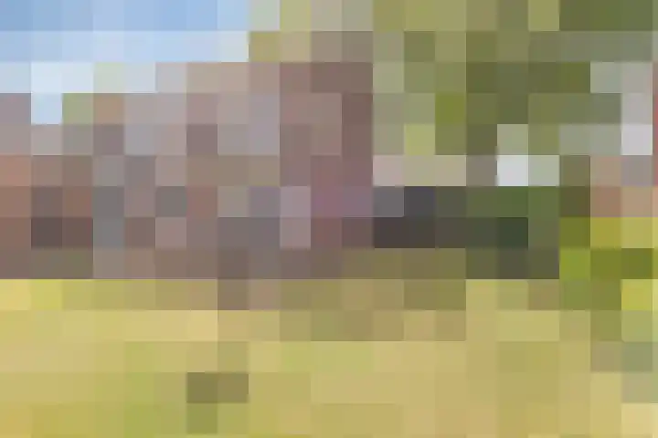 Mariastraat 9 Oldenzaal thumbnail 17