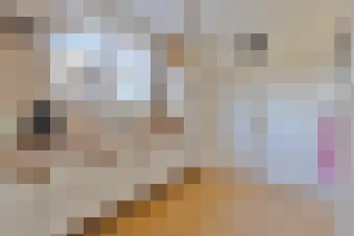 Mariastraat 9 Oldenzaal thumbnail 5