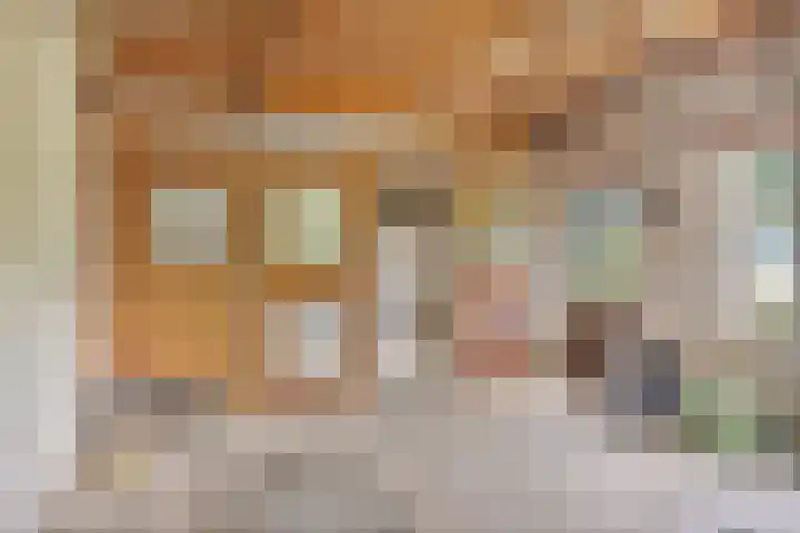 Mariastraat 9 Rosmalen thumbnail 28
