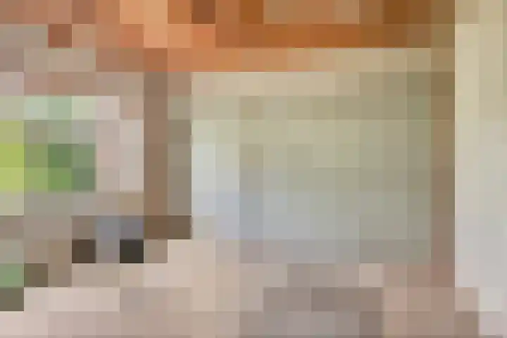 Mariastraat 9 Rosmalen thumbnail 29