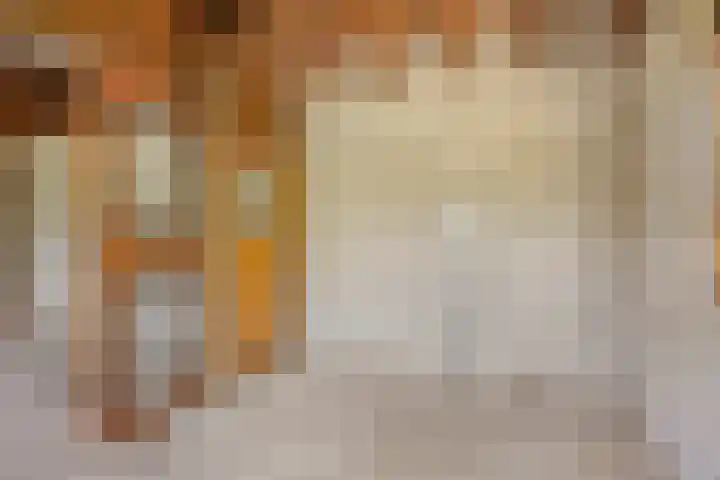 Mariastraat 9 Rosmalen thumbnail 30