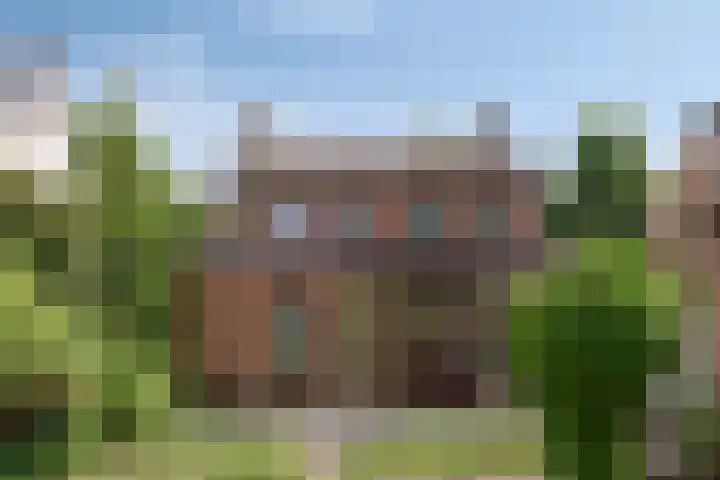 Mariastraat 9 Rosmalen thumbnail 34