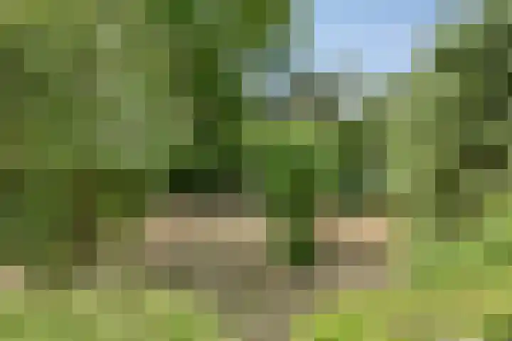 Mariastraat 9 Rosmalen thumbnail 35